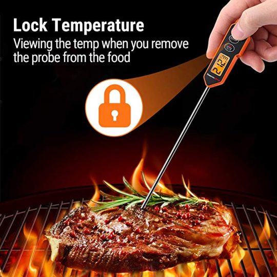 ThermoPro TP10H Lock Temperature Function