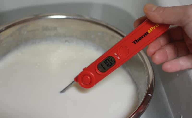 ThermoPro Instant thermometer for yogurt