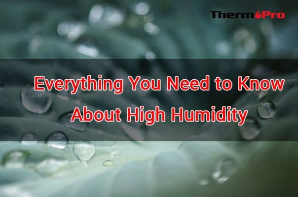 Everything You Need to Know About High Humidity