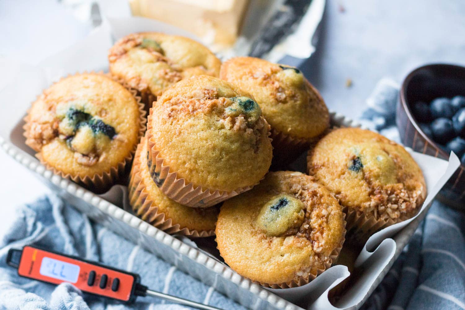 Quick and Easy Blueberry Muffins | ThermoPro Recipes