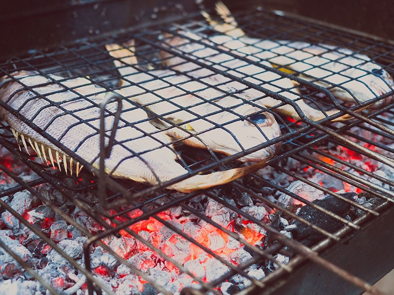 how to grill fish steak on grill