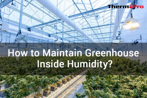 how to maintain greenhouse humidity
