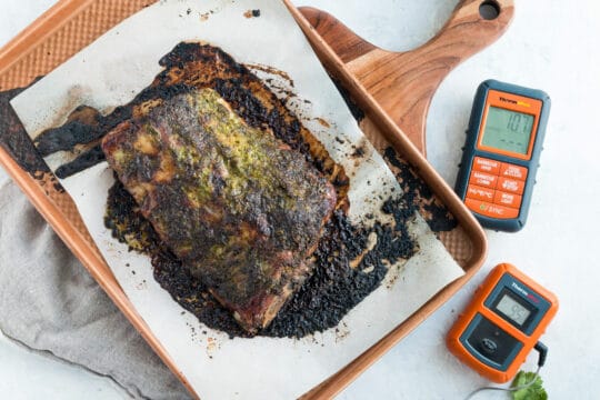 wifi vs bluetooth meat thermometer