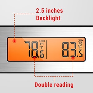 Dual Temp Backlit LCD Display